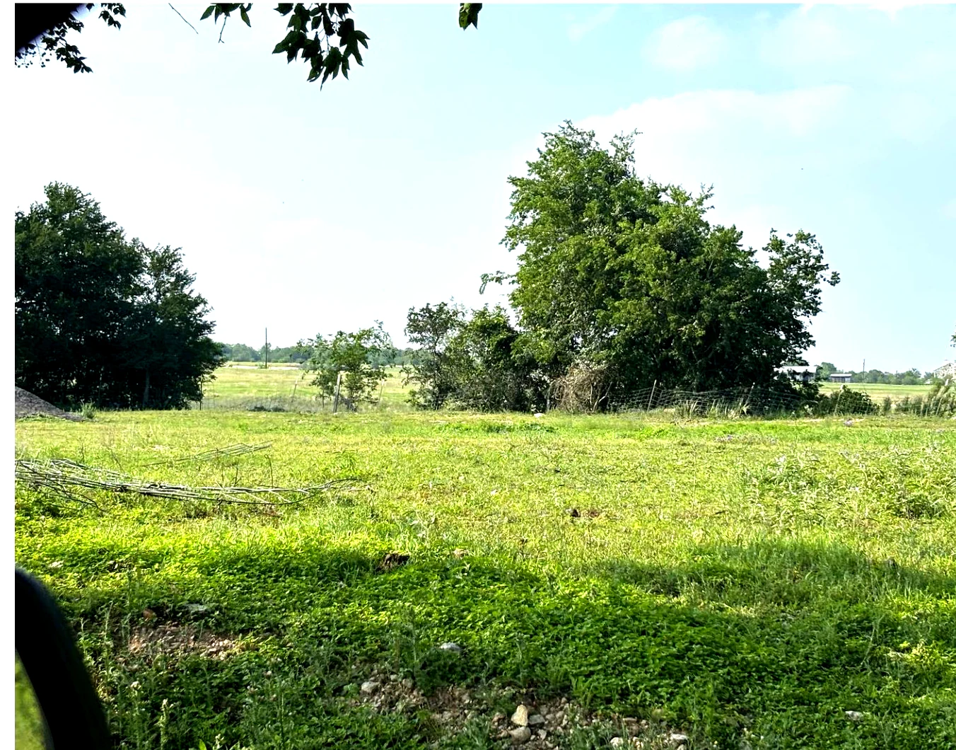 Lush Texas meadow at Still Haven showing open land and natural vegetation.