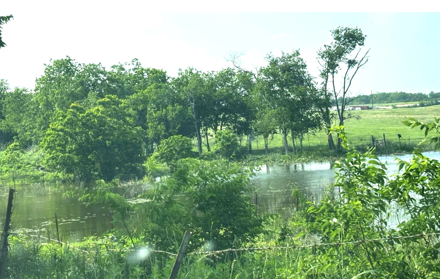 Tree-lined pond at the Still Haven property showing natural lush landscape.