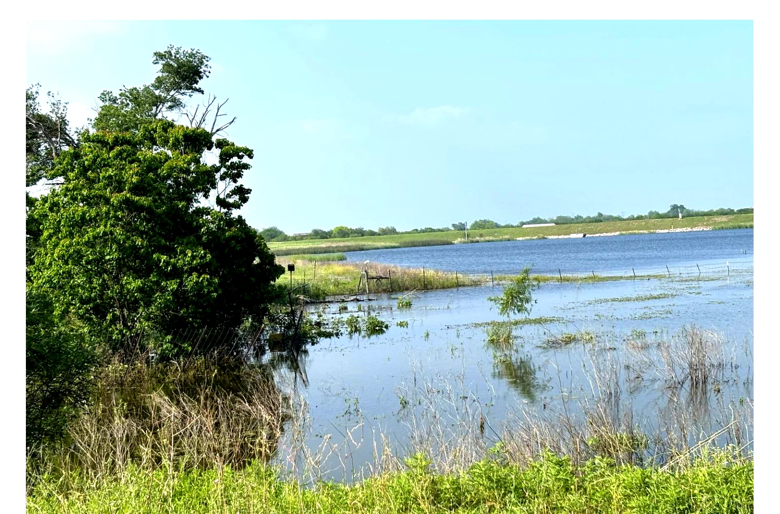 River or creek edge at the Still Haven property showing the scenic water boundary.